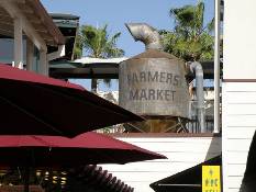 10_Hawaii_3 502.jpg (50751 bytes)